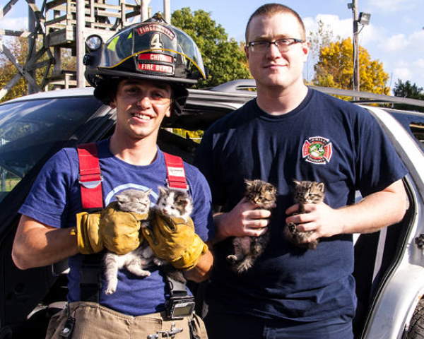 Shangrala's Firefighter Animal Rescues