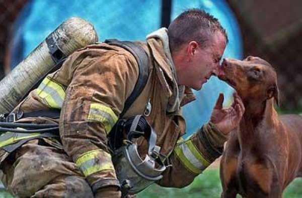 Shangrala's Firefighter Animal Rescues