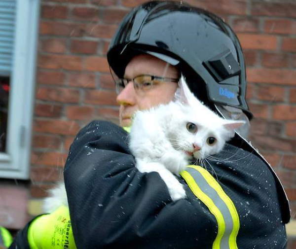 Shangrala's Firefighter Animal Rescues