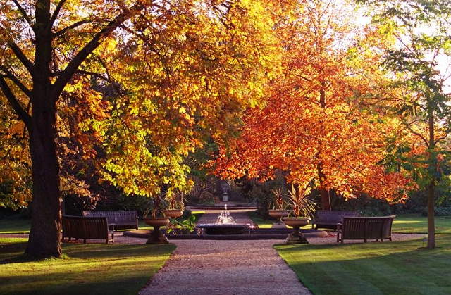 Shangrala's World's Oldest Gardens