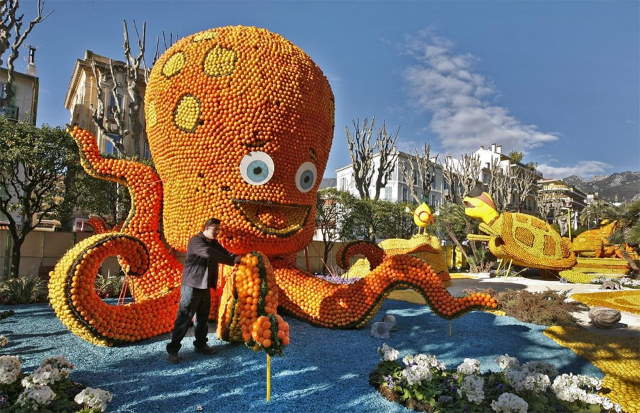 Shangrala's Festival Of Citrus 2