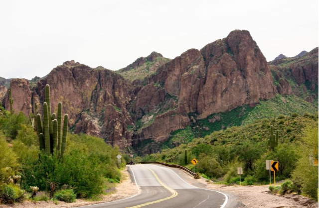 Shangrala's Arizona Wildflower Superbloom