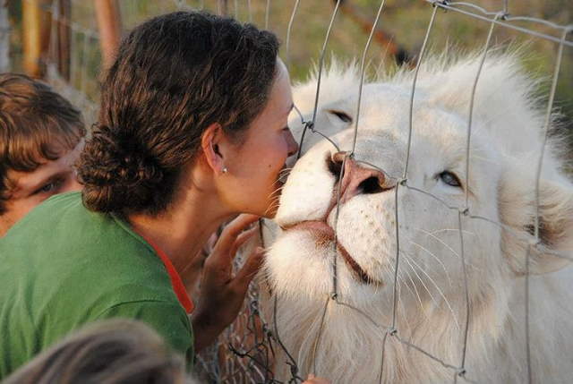 Shangrala's Amazing Albino Animals 2