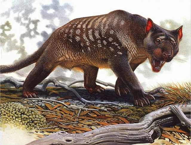 Shangrala's Scary Extinct Creatures