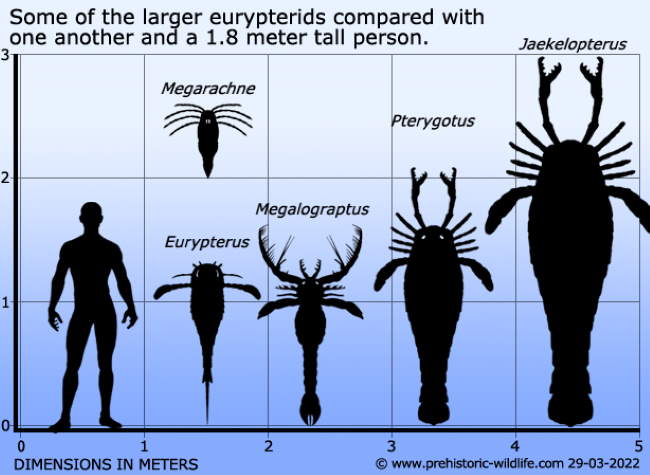 Shangrala's Scary Extinct Creatures