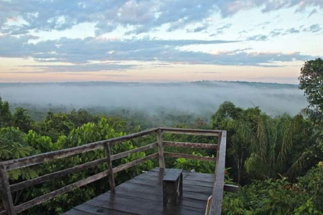 Shangrala's Amazon Rainforest