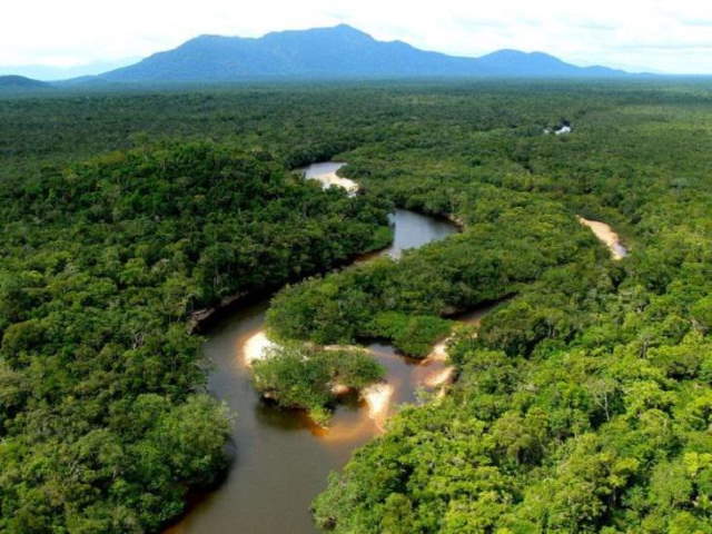 Shangrala's Amazon Rainforest