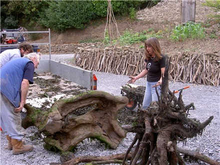 Shangrala's Driftwood Horses