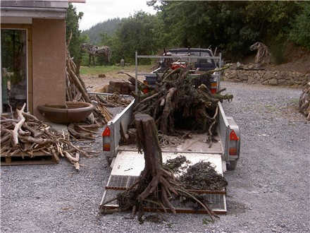 Shangrala's Driftwood Horses