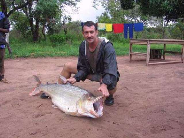 Shangrala's Tigerfish